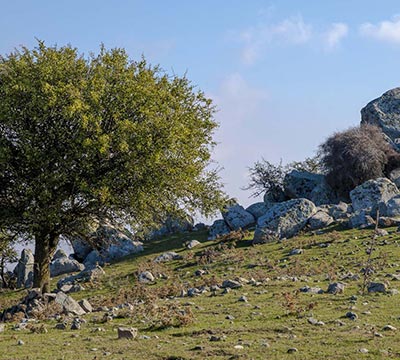 Kayacık Köyü, Ezine
